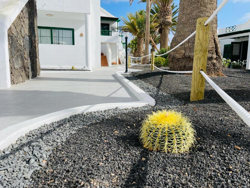 Casa Adelfa Lägenhet Puerto del Carmen  Exteriör bild